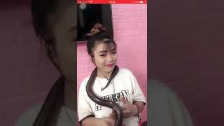 Hot Girl Bắt Rắn Quấn Quanh Cổ Hát Bài 10 Ngón Tay Bigo Girl Singer