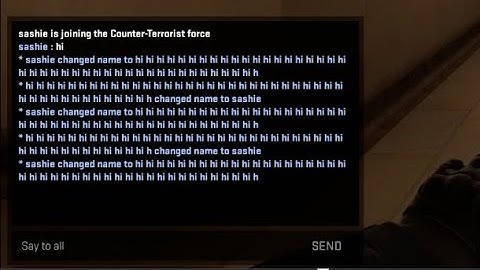 how to name spam chat + change your name ingame without changing your name on steam for csgo (known)