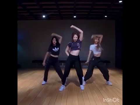 (MIRROR)BLACKPİNK-DDU DU DDU DU DANCE PRACTICE