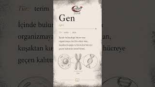 Gen #biyoloji #science #ayt #tyt #biyolojidersi