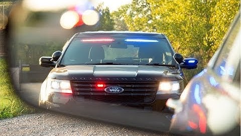 Pulled Over With No Insurance,Registration and Expired Plates!