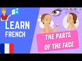 Parts of the FACE in French