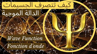 Wave Function, Fonction d'onde, غرائب ميكانيكا الكم | كيف تتصرف الجسيمات : الدالة الموجية