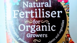 Physically NOT Mentally Sick Person With Disabilities Planting Herbs At Home