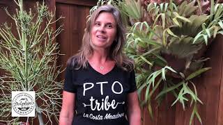 La Costa Meadows PTO 2020 2021