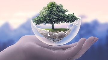 Save trees Protect the nature ( adobe Photoshop manipulation time lapse 2020 )