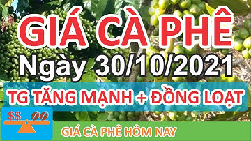 Giá cà phê hôm nay ngày 30/10/2021 | giá cà phê tăng mạnh đồng loạt trên sàn London & New York