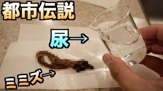 【検証】ミミズにおしっこかけるとち○こ腫れるって本当？