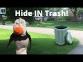 The mighty penguin show  s1  episode 1 hide in trash