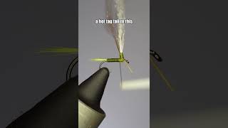 Hot Tag Parachute Blue Wing Olive | Fly Tying Tutorial