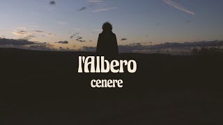 Video thumbnail of "l'Albero - Cenere (video ufficiale)"