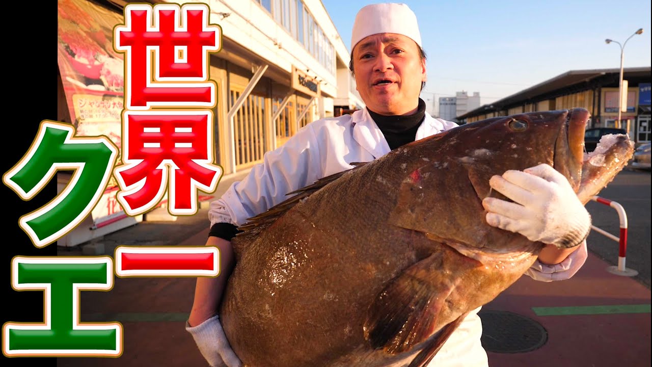 世界一巨大極上クエ】捌き方！仕入れ値50万円オーバーの最高級品