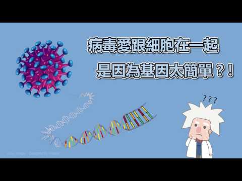 【摺紙也能讓你認識病毒的形狀】認識病毒：病毒與人類的拉鋸戰