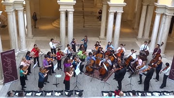 2018 Peabody Academy Festival Orchestra Walters Concert - Janáček I