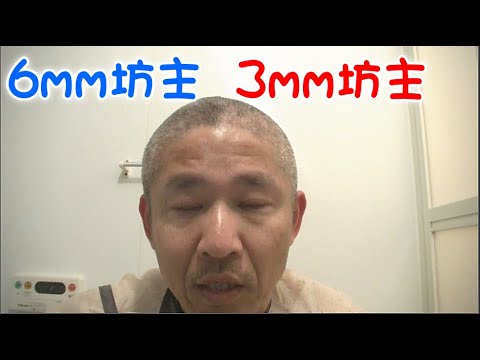 12 ミリ 坊主 12mm