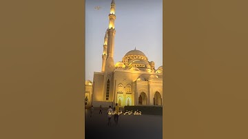 100 قارئ في مئة يوم اليوم (17)