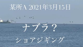 某所Aでナブラ？　ショアジギング　2021年3月15日　マグナムさんと投げました！沖向きテトラ　ポポパパ　青物　ハマチ　ブリ　メジロ　サワラ　サゴシ　ルアー　fishing