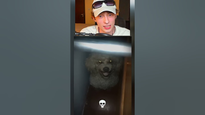 Los perros más TERRORIFICOS💀