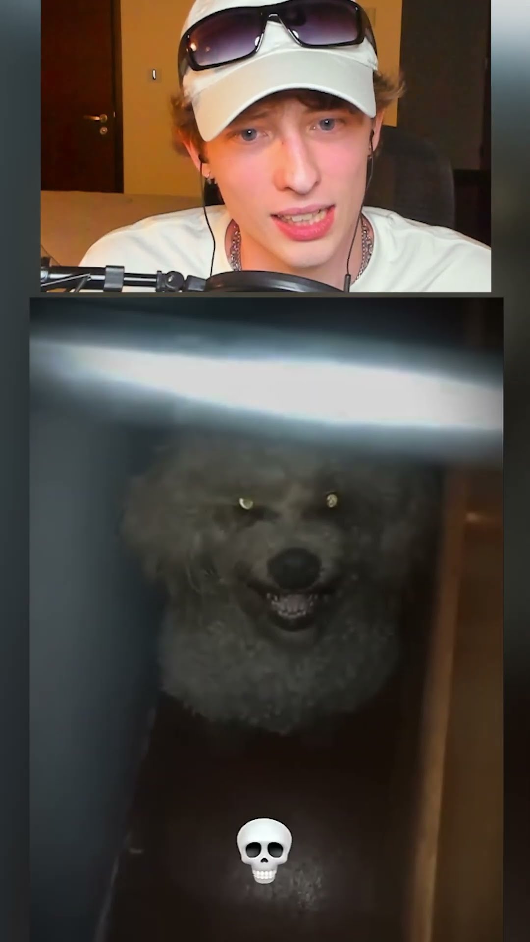 Los perros más TERRORIFICOS?
