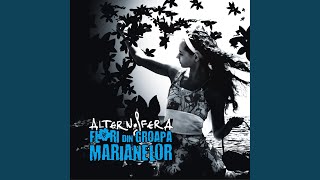 Video thumbnail of "Alternosfera - Flori de Mai"