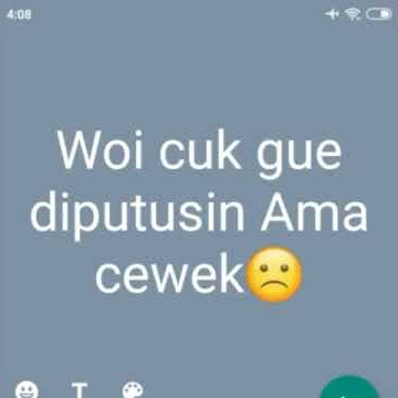 story' wa fake chat