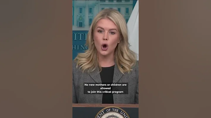 Levitt thinks it's "despicable" Democrats care more about illegal immigrants than American citizens.