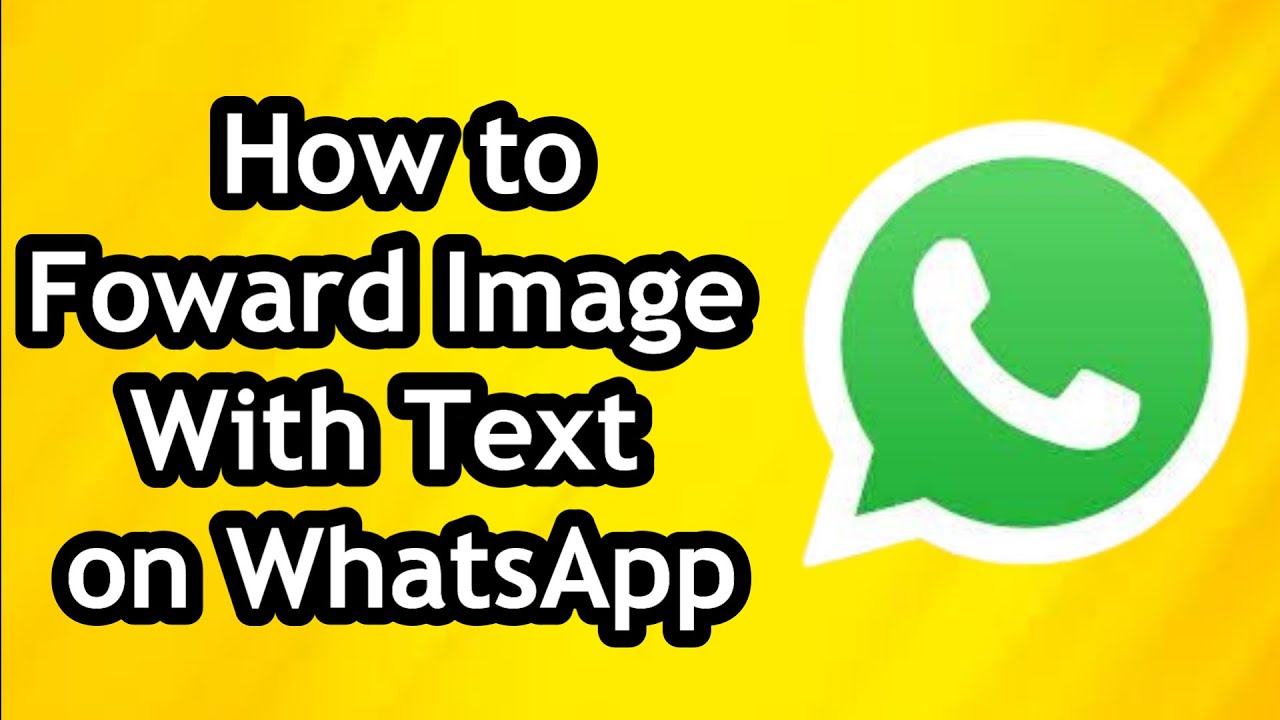How to Forward Image with Text on WhatsApp - YouTube