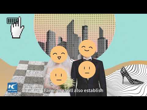 Understanding The Two Sessions China Adopts World S First Modern Day Civil Code