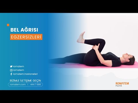 Bel Ağrısı Egzersizleri | Bel Fıtığı, Bel Kayması...