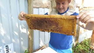 начинающий пчеловод