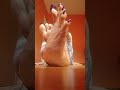 Long Toenails And Soles 