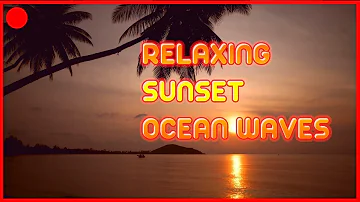 beautiful orange sunset with palm trees and gentle ocean wave sounds for sleeping and studying