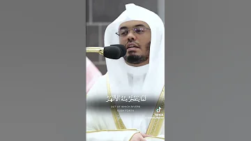 ثم قست قلوبكم من بعد ذلك فهي كالحجارة أو أشد قسوة 