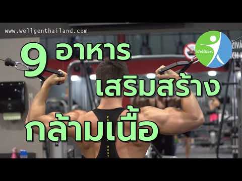 9อาหารเสริมสร้างกล้ามเนื้อ WELLGENTHAILAND.COM