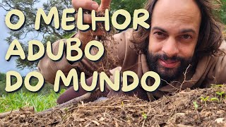 Como ADUBAR uma horta em casa e EVITAR PRAGAS E DOENÇAS - Agroecologia