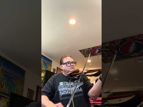 Violin. Wedding Song