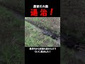農家の大敵 退治!