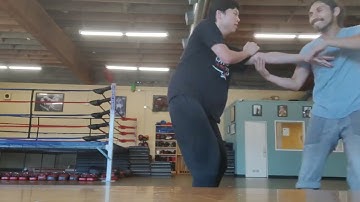 tai chi high stance fixed step push hands practice