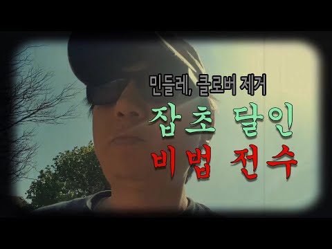 민들레, 클로버 제거 - 잡초 달인 비법 전수