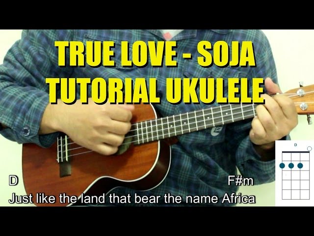 Soja true love acordes｜Búsqueda de TikTok