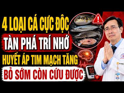 Bí Quyết Chọn Cá Cho Người Cao Tuổi: Tránh Xa 4 Loại Cá Này Để Bảo Vệ Trí Nhớ & Tim Mạch