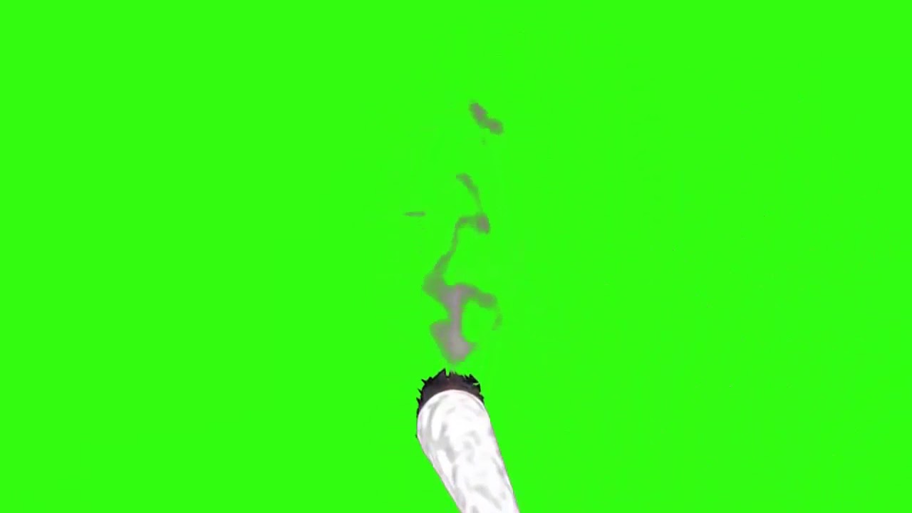 Smoking Weed - Green Screen (Meme Source) MEGA DOWNLOAD - YouTube.