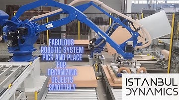 Fabulous Robotic system pick and place for organizing objects smoothly