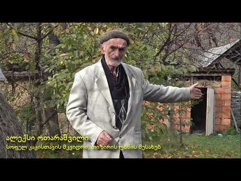 თიზირი   ალექსი ოთარაშვილი