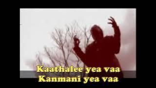 Kashmir Stone - Neethane (Karaoke Version)