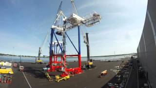 Liebherr - Assembly of four Liebherr STS container cranes in Rostock