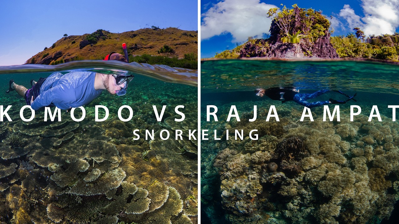 ⁣Snorkeling Komodo vs. Raja Ampat - Everything you Need to Know
