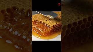 SATIFYING OOZING HONEY 🍯🐝 #viral #trending #asmr #explore #edit #trendingshorts #satisfying #ai