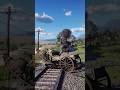 Simulate extreme survival skills in rdr2 vol33 #shorts #short