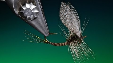 Fly Tying the Wally Wing Mayfly Dry Fly Dun with Barry Ord Clarke